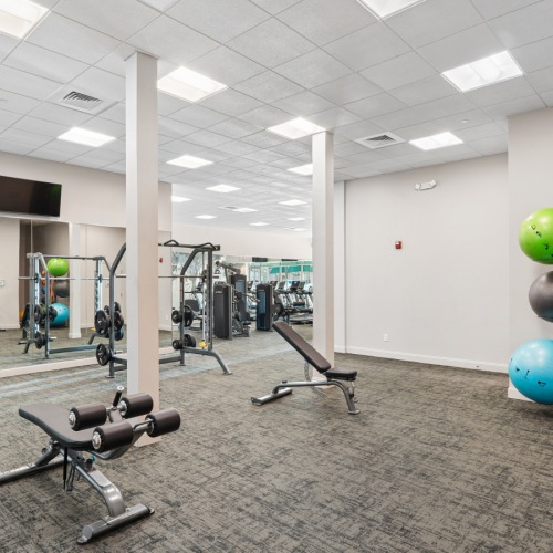 Fitness Center with free weights and strength machines